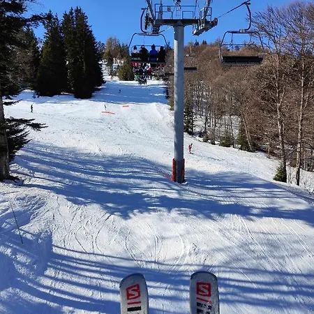 Petit Coin De Paradis En Plein Centre De Lägenhet *
