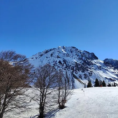 Petit Coin De Paradis En Plein Centre De *
