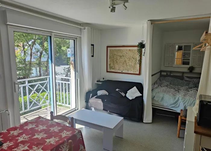 Petit Coin De Paradis En Plein Centre De * Бареж