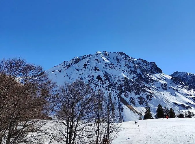 Petit Coin De Paradis En Plein Centre De *