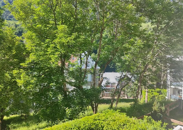 Petit Coin De Paradis En Plein Centre De * Бареж